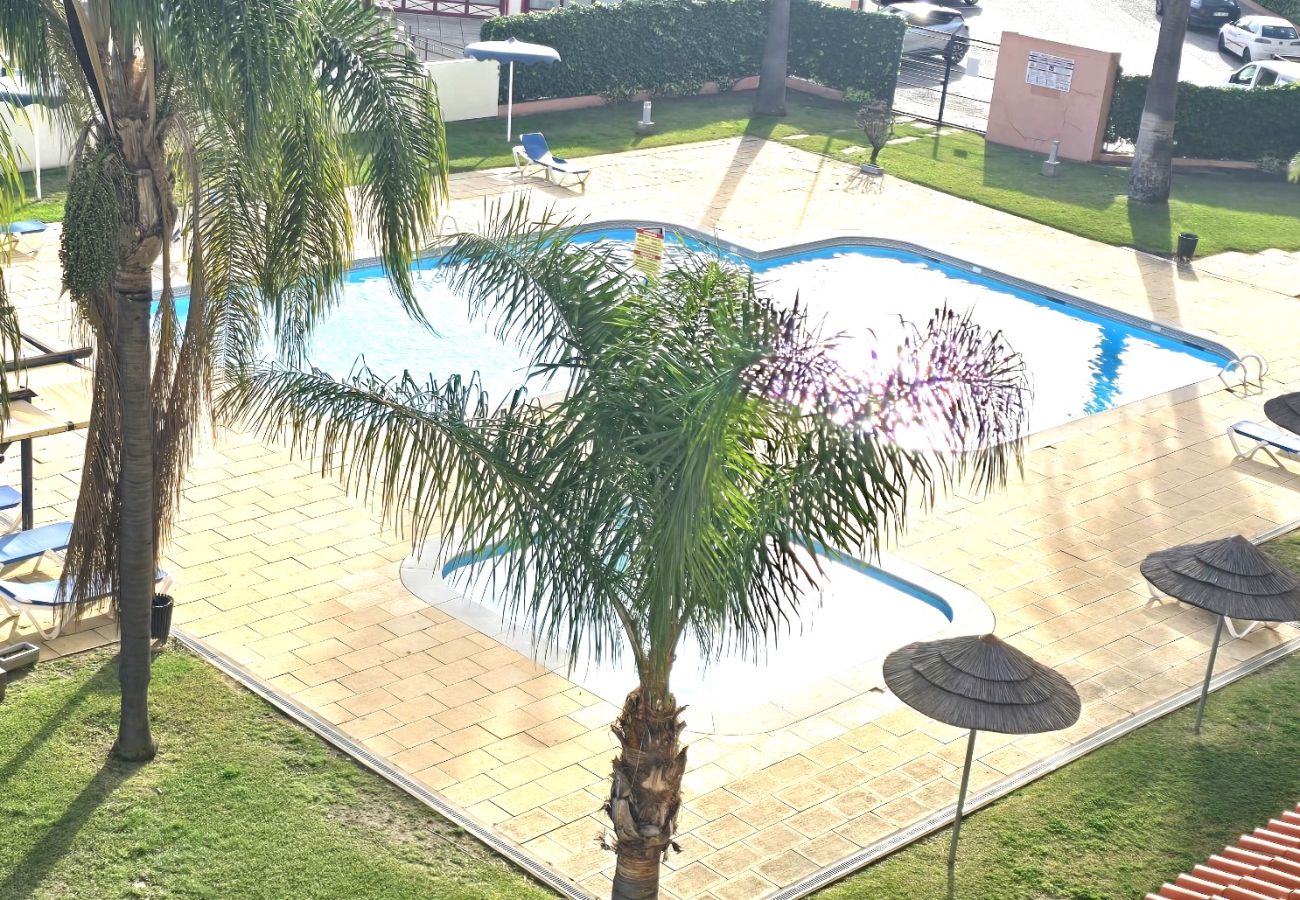 Apartment in Albufeira - Center View